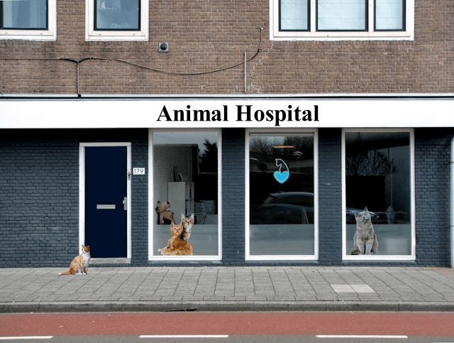 合作医院专业救治